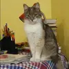 Отзыв от Инга Фетисова